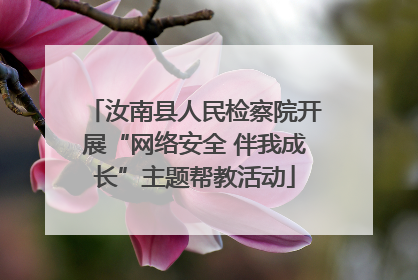 汝南县人民检察院开展“网络安全 伴我成长”主题帮教活动
