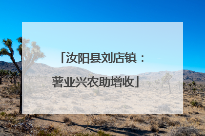 汝阳县刘店镇：薯业兴农助增收