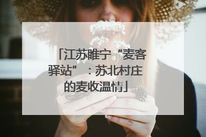 江苏睢宁“麦客驿站”：苏北村庄的麦收温情