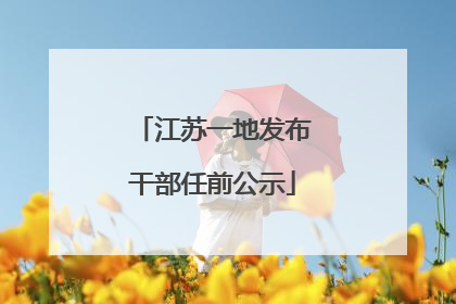 江苏一地发布干部任前公示