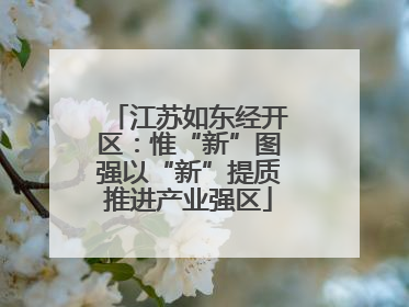 江苏如东经开区：惟“新”图强以“新”提质推进产业强区