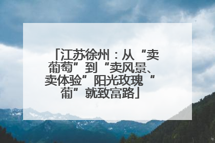 江苏徐州：从“卖葡萄”到“卖风景、卖体验”阳光玫瑰“葡”就致富路