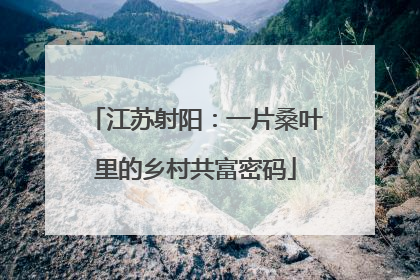 江苏射阳：一片桑叶里的乡村共富密码