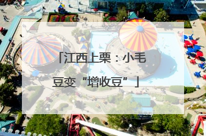 江西上栗：小毛豆变“增收豆”