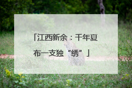 江西新余：千年夏布一支独“绣”