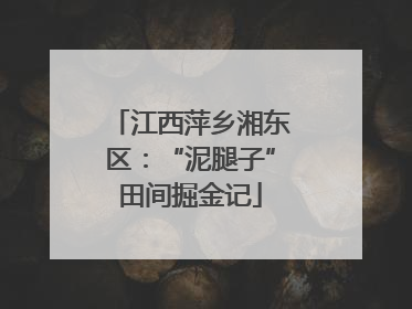 江西萍乡湘东区：“泥腿子”田间掘金记