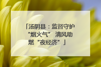 汤阴县：监督守护“烟火气” 清风助燃“夜经济”