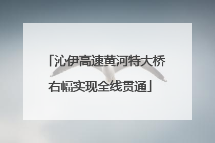 沁伊高速黄河特大桥右幅实现全线贯通