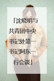 沈晓明与共青团中央书记处第一书记阿东一行会谈