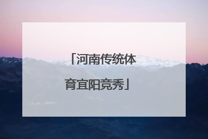 河南传统体育宜阳竞秀