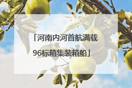 河南内河首航满载96标箱集装箱船