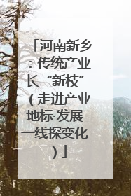 河南新乡：传统产业长“新枝”（走进产业地标·发展一线探变化）