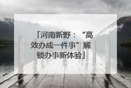 河南新野：“高效办成一件事”解锁办事新体验