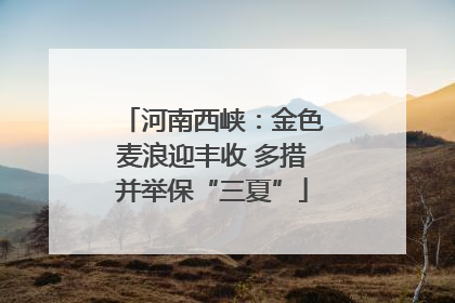 河南西峡：金色麦浪迎丰收 多措并举保“三夏”