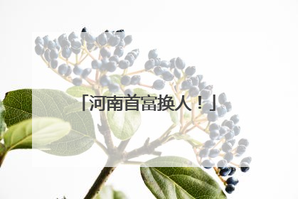河南首富换人！