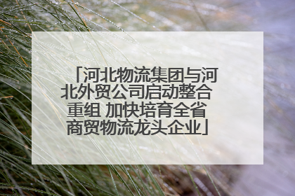 河北物流集团与河北外贸公司启动整合重组 加快培育全省商贸物流龙头企业