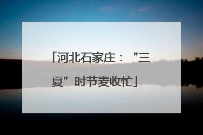 河北石家庄：“三夏”时节麦收忙