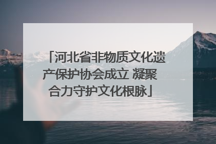 河北省非物质文化遗产保护协会成立 凝聚合力守护文化根脉