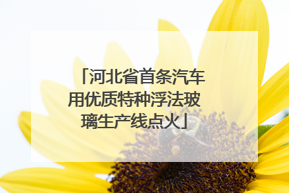 河北省首条汽车用优质特种浮法玻璃生产线点火