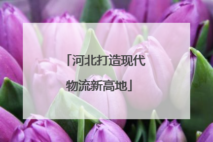 河北打造现代物流新高地