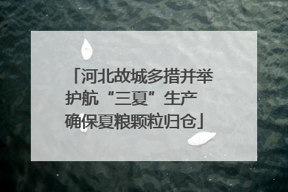 河北故城多措并举护航“三夏”生产 确保夏粮颗粒归仓