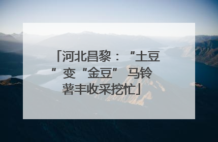河北昌黎：“土豆”变“金豆” 马铃薯丰收采挖忙