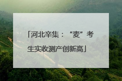 河北辛集：“麦”考生实收测产创新高