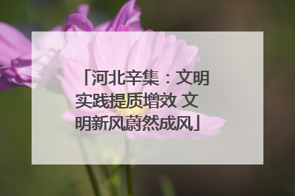 河北辛集：文明实践提质增效 文明新风蔚然成风