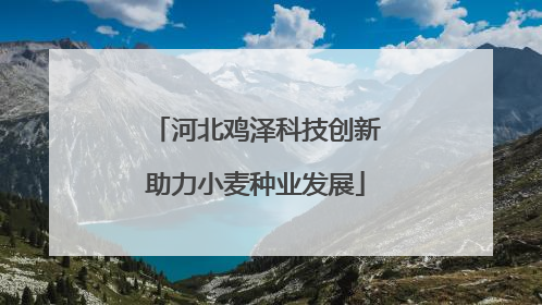 河北鸡泽科技创新助力小麦种业发展