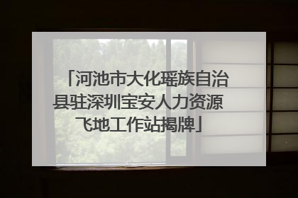 河池市大化瑶族自治县驻深圳宝安人力资源飞地工作站揭牌