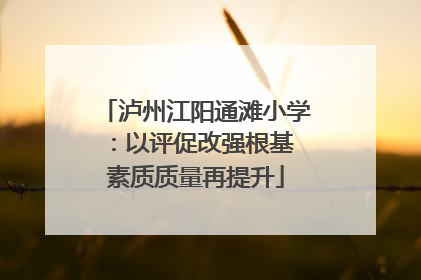 泸州江阳通滩小学：以评促改强根基 素质质量再提升