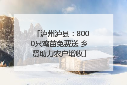 泸州泸县：8000只鸡苗免费送 乡贤助力农户增收