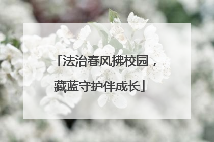 法治春风拂校园，藏蓝守护伴成长