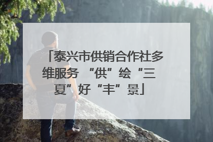 泰兴市供销合作社多维服务 “供”绘“三夏”好“丰”景