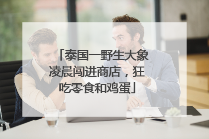 泰国一野生大象凌晨闯进商店，狂吃零食和鸡蛋