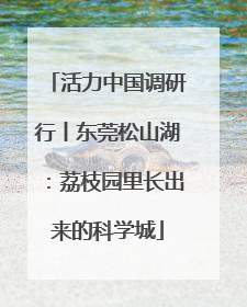 活力中国调研行丨东莞松山湖：荔枝园里长出来的科学城