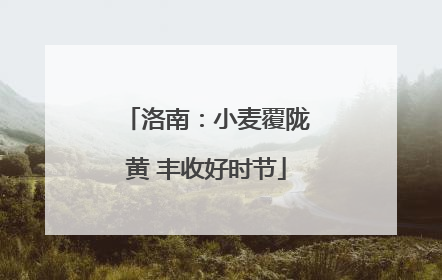 洛南：小麦覆陇黄 丰收好时节