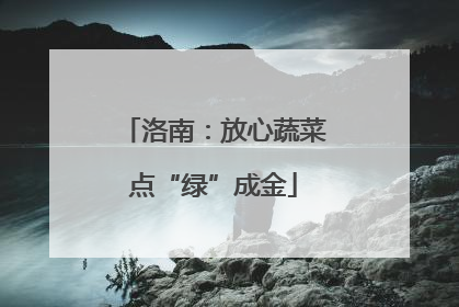 洛南：放心蔬菜点“绿”成金