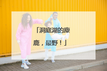 洞庭湖的麋鹿，最野！