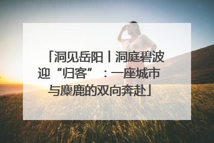 洞见岳阳丨洞庭碧波迎“归客”：一座城市与麋鹿的双向奔赴