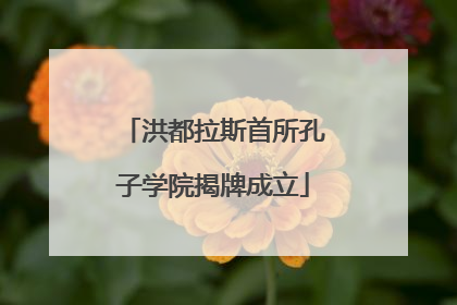 洪都拉斯首所孔子学院揭牌成立