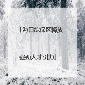 海口综保区释放强劲人才引力