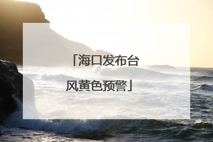 海口发布台风黄色预警