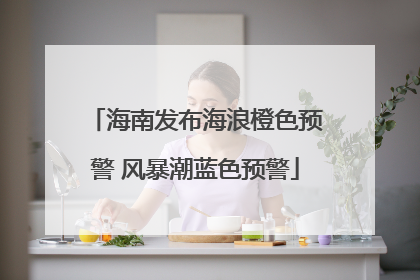 海南发布海浪橙色预警 风暴潮蓝色预警