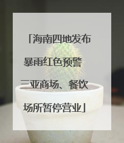 海南四地发布暴雨红色预警 三亚商场、餐饮场所暂停营业