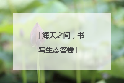 海天之间，书写生态答卷