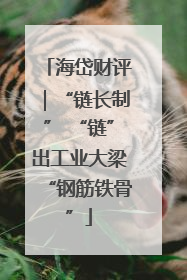 海岱财评｜“链长制” “链”出工业大梁“钢筋铁骨”