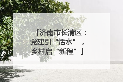 济南市长清区：党建引“活水”，乡村启“新程”
