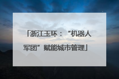 浙江玉环：“机器人军团”赋能城市管理