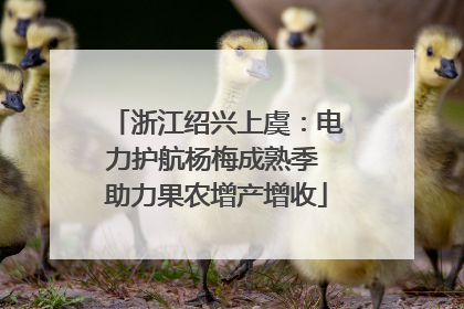 浙江绍兴上虞：电力护航杨梅成熟季 助力果农增产增收